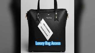 Stil und Zugang zu einer beliebten Louis Vuitton-Tasche