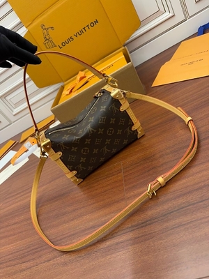 Segeltuch-Louis Vuittons LV Browns Presbyopic Seitentaschen-Koffer des stamm-Monogramm-P.M.