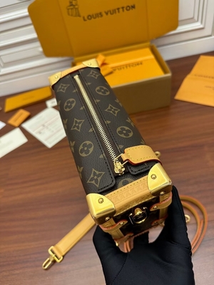 Segeltuch-Louis Vuittons LV Browns Presbyopic Seitentaschen-Koffer des stamm-Monogramm-P.M.