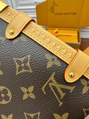 Segeltuch-Louis Vuittons LV Browns Presbyopic Seitentaschen-Koffer des stamm-Monogramm-P.M.