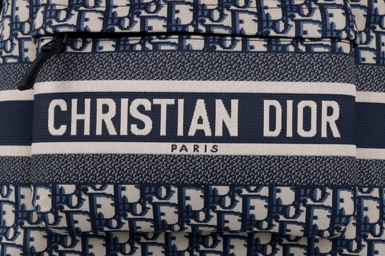 Designer Small Diortravel Backpack blauer Dior Oblique Jacquard