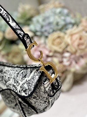 Frauen-Stickerei Dior Saddle Sling Bag Patchwork 25cm mit 3 Innentaschen