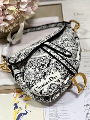 Frauen-Stickerei Dior Saddle Sling Bag Patchwork 25cm mit 3 Innentaschen