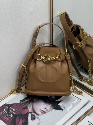 Prägeartige CD Christian Dior Sport Bag Calfskin C'est Dior Bag Gold Saddle