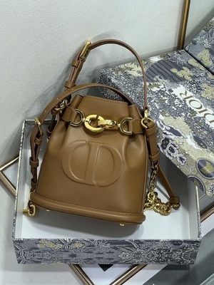 Prägeartige CD Christian Dior Sport Bag Calfskin C'est Dior Bag Gold Saddle
