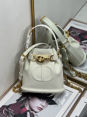 Prägeartige CD Christian Dior Sport Bag Calfskin C'est Dior Bag Gold Saddle